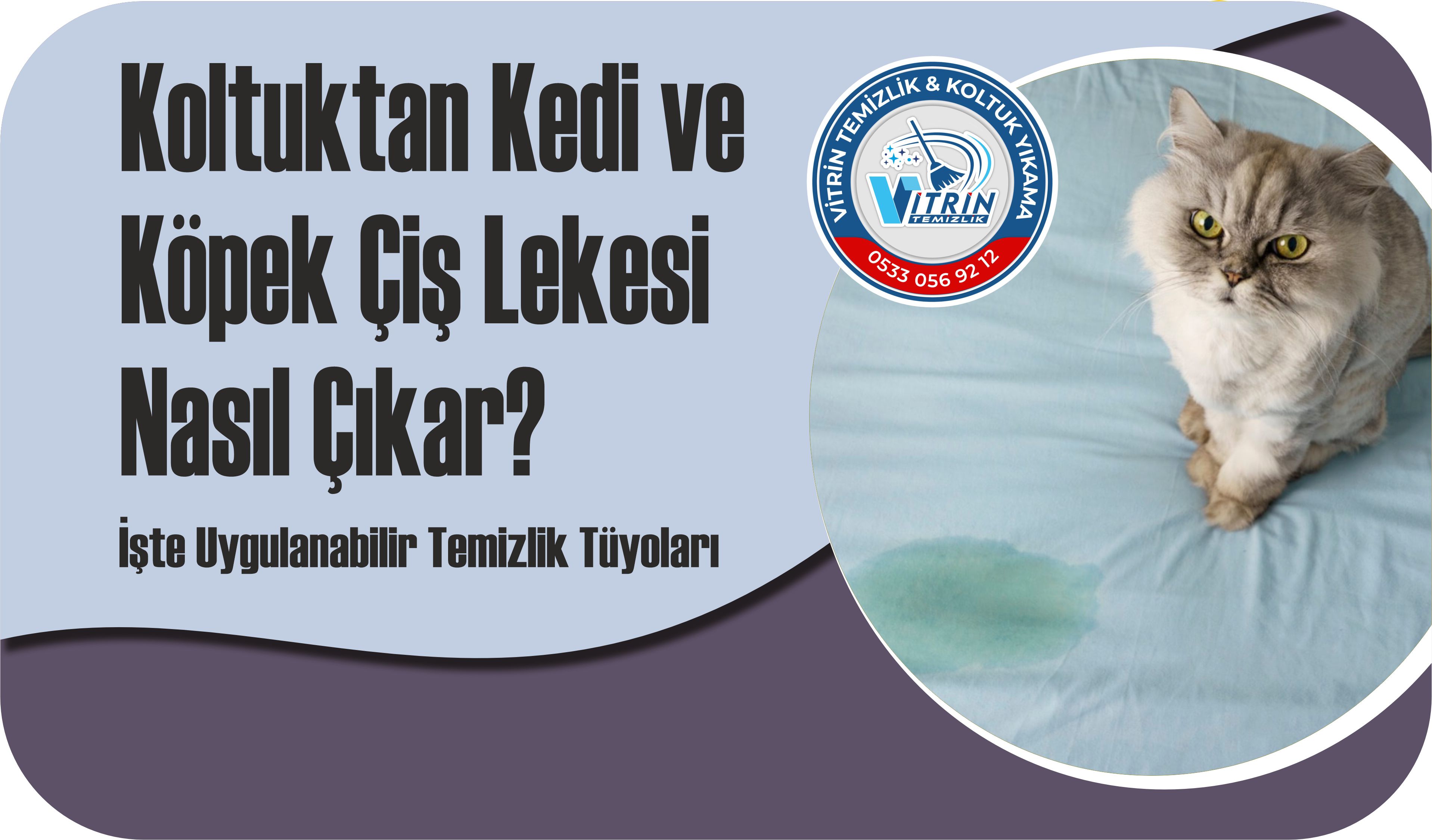 Koltuk Yıkamada Doğru Temizlik Teknikleri: Sıradan Temizlikten Profesyonel Hijyene Geçiş Rehberi